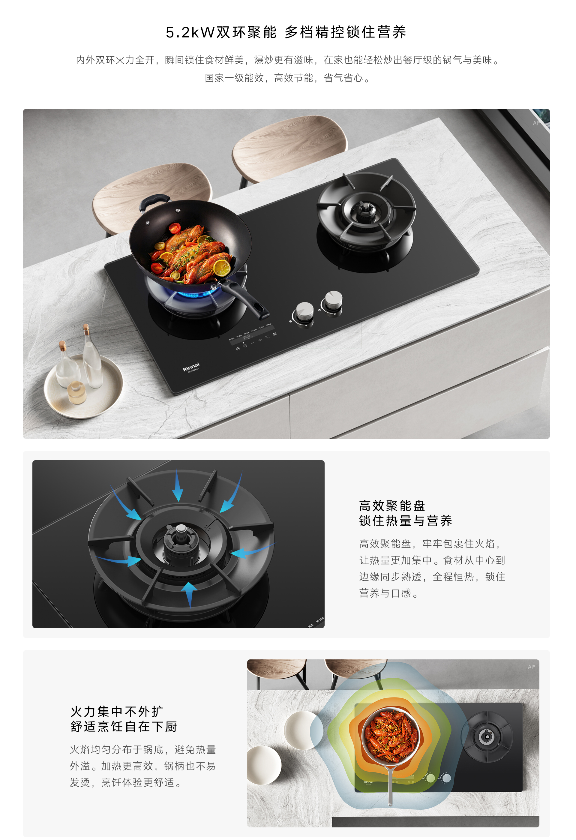 2RQH1L灶具-产品详情页_06.jpg